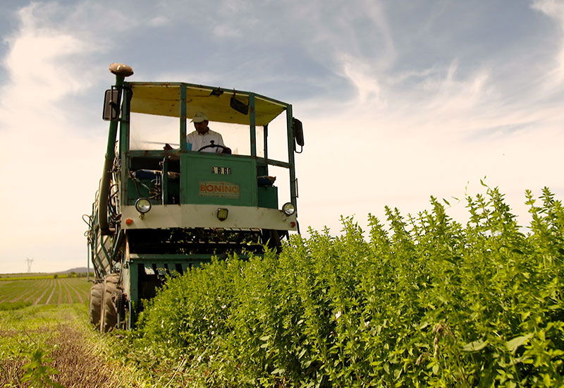 Dalkıran Ziraat – Tekirdağ Muratlı Zirai Bayi